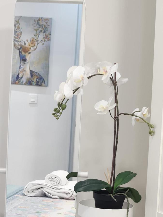 Apartamento Paula Валадоид Екстериор снимка